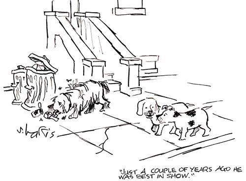 'Just a couple of years ago, he was best in show.'
