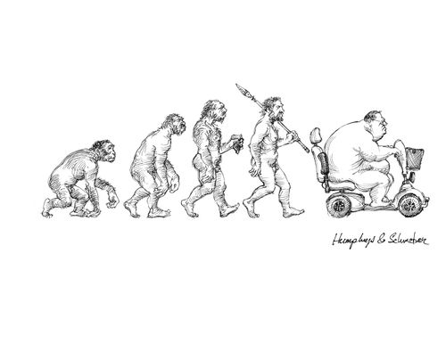The Evolution of Man