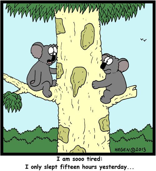 'I am sooo tired: I only slept fifteen hours yesterday...'