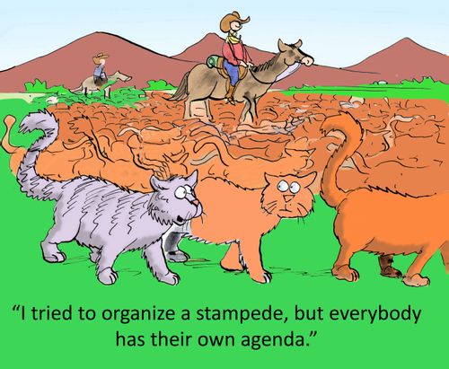 'I tried to organize a stampede, but everybody has their own agenda.'