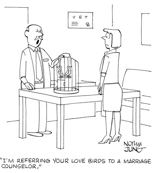 'I'm referring your love birds to a marriage counselor.'