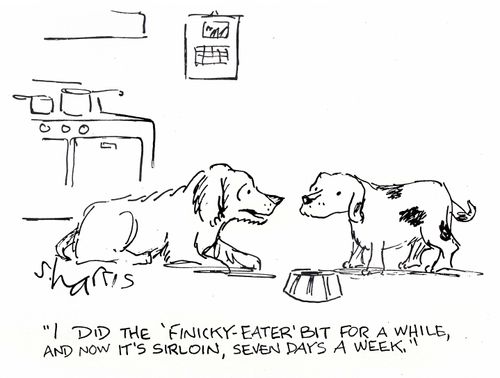 'I did the finicky-eater for a while, and now it's sirloin, seven days a week.'