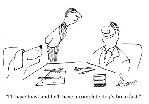 'I'll have toast and he'll have a complete dog's breakfast.'