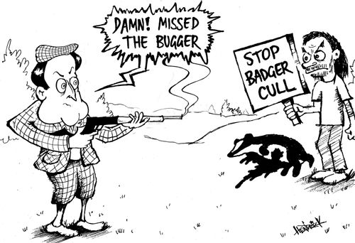 David Cameron hunting the badger cull protesters.
