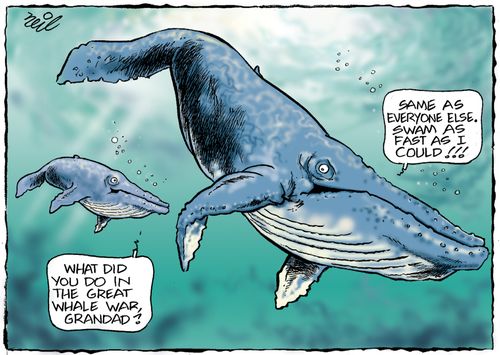 'What did you do in the great whale war, grandad....'