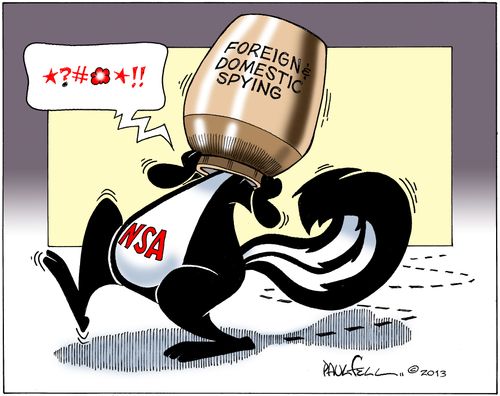 NSA caught in the cookie jar.