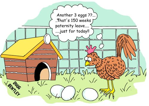 'Another 3 eggs?? . . . That's 150 weeks paternity leave. . . just for today!!'