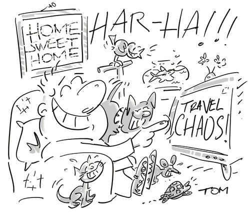 Stay-at-homes have last laugh because of the travel chaos this Christmas.