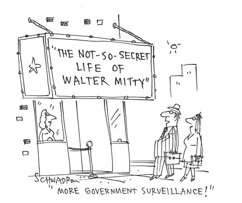 'More government surveillance!'