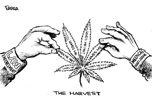 The Harvest