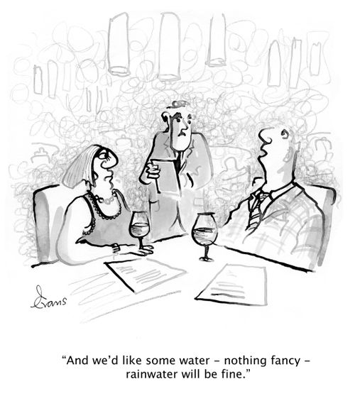 'And we'd like some water - nothing fancy - rainwater will be fine.'
