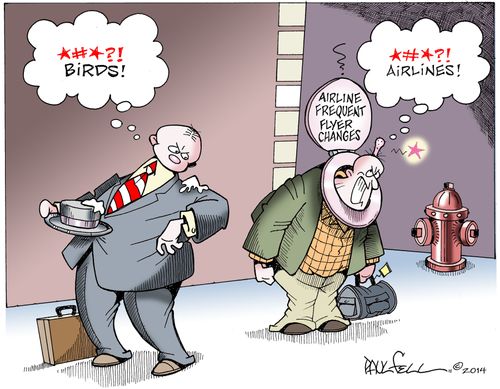 Airline Frequent Flyer Charges