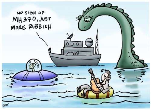 'No sign of MH370, just more rubbish.'