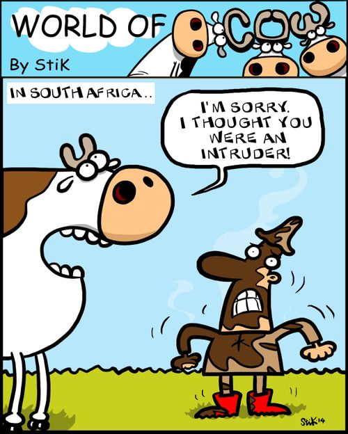 'I'm sorry, I thought you were an intruder!'
