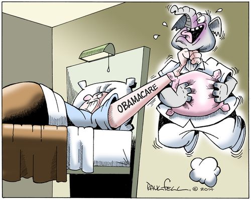 The Patient Survives