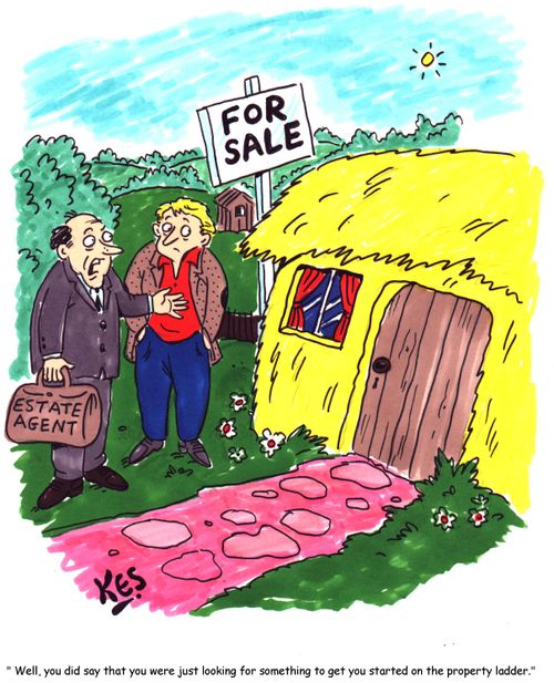 "Well, you did say that you were just looking for something to get you started on the property ladder."