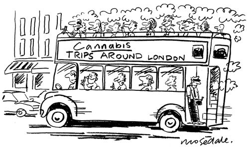Cannabis trips around London.