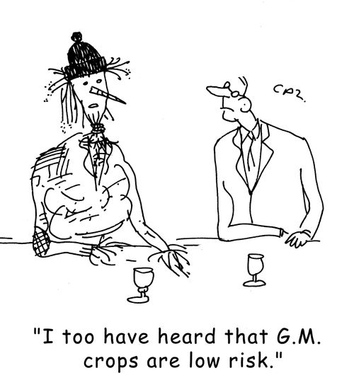 "I too have heard that G.M. crops are low risk."