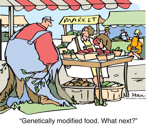 "Genetically modified food. What next?"