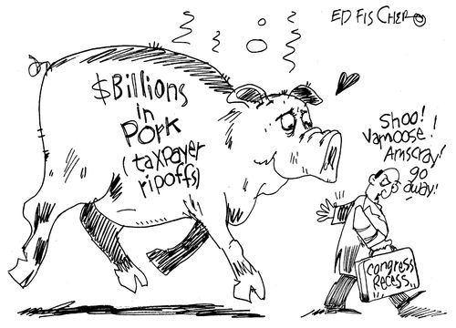 Billions in pork (taxpayer ripoffs).