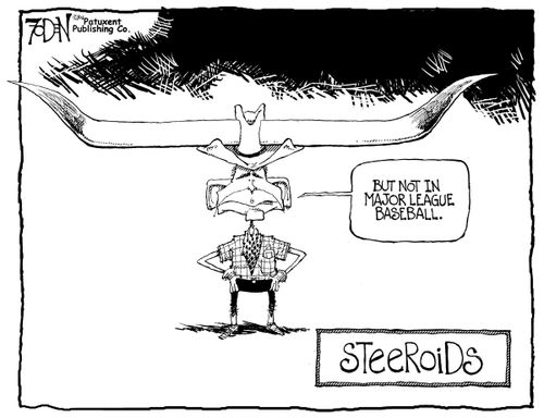 Steeroids