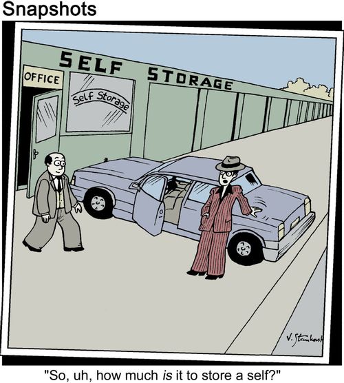 "So, uh, how much is it to store a self?"