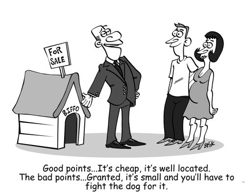 'Good points...It's cheap, it's well located. The bad points...Granted it's small and you'll have to fight the dog for it.'