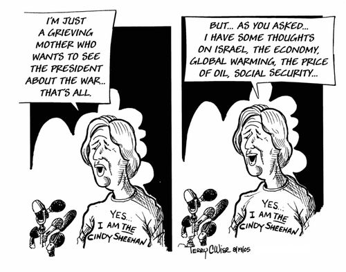 THE Cindy Sheehan