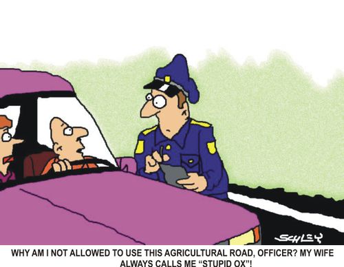 'Why am I not allowed to use this agricultural road, officer? My wife always calls me 'stupid ox''!