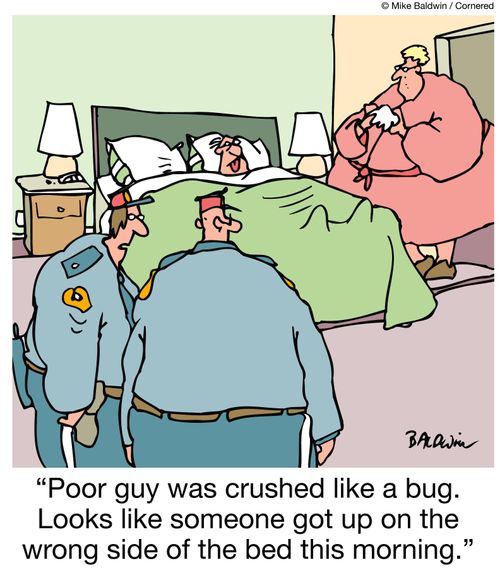 "Poor guy was crushed like a bug. Looks like someone got up on the wrong side of the bed this morning."
