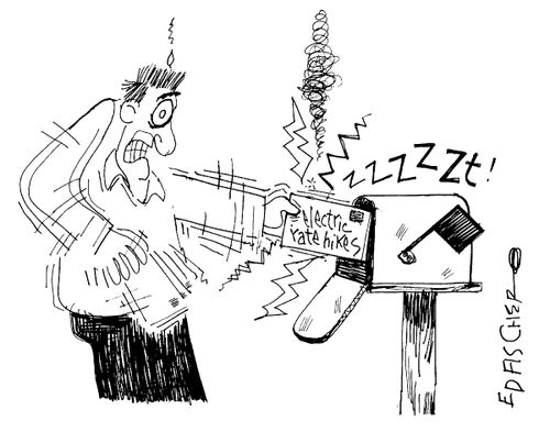 Electric Rate Hikers: ZZZZZT!