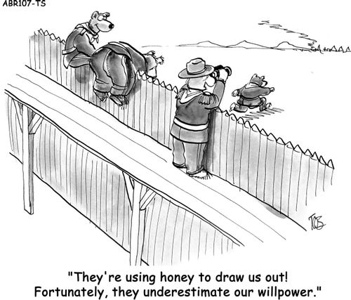 'They're using honey to draw us out! Fortunately, they underestimate our willpower.'