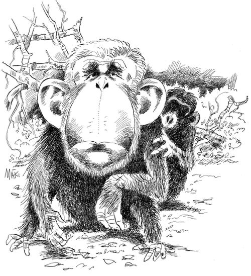 George 'Monkey' Bush.