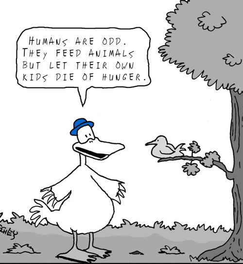 'Humans are odd. They feed animals but let their own kids die of hunger.'