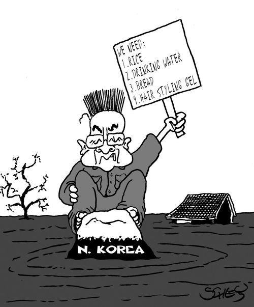 Needful things in N. Korea.