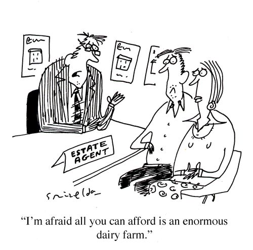 "I'm afraid all you can afford is an enormous dairy farm."