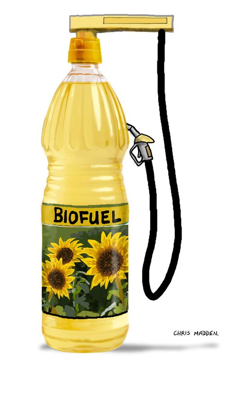 Biofuel or cooking oil - fuel/food crisis.