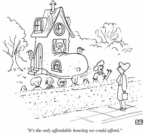 'It's the only affordable housing we could afford.'