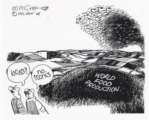 World Food Production.