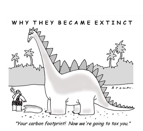 Carbon Footprint Taxes.
