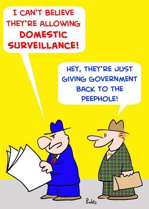 "I can't believe they're allowing domestic surveillance!', 'Hey, they're just giving government back to the peephole!"