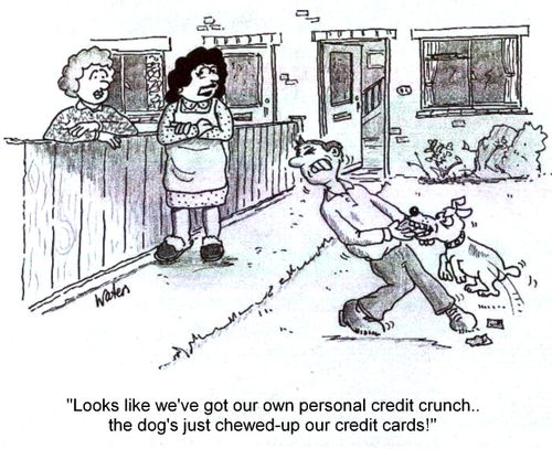 'Looks like we've got our own personal credit crunch...the dog has just chewed- up our credit cards!'