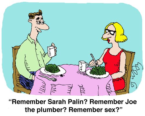 'Remember Sarah Palin? Remember Joe the plumber? Remember sex?'