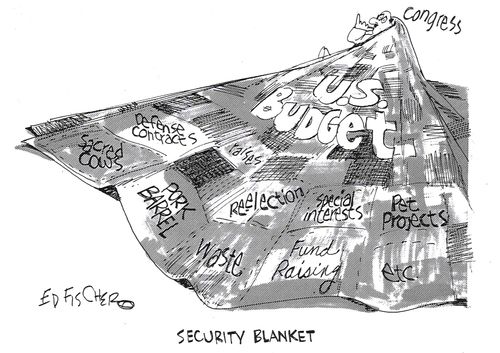 Congress security blanket