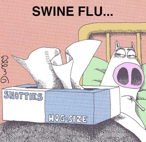 Swine Flu...