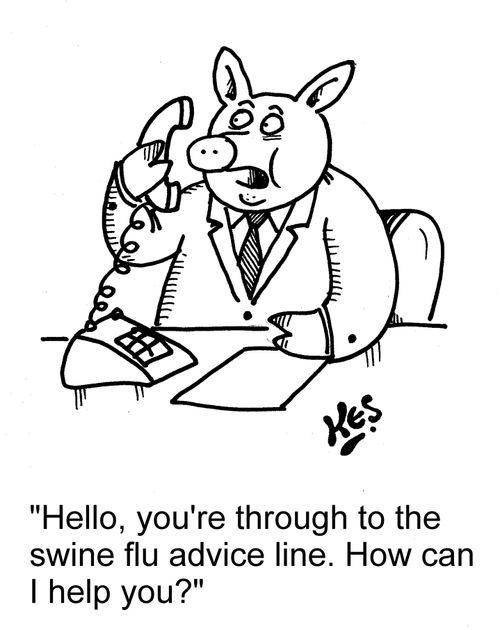 'Hello, you're through to the swine flu advice line. How can I help you?'