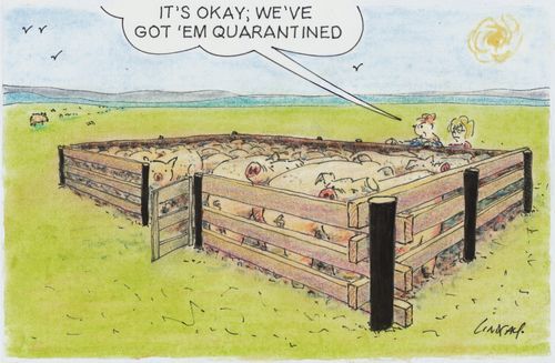 Swine Flu.