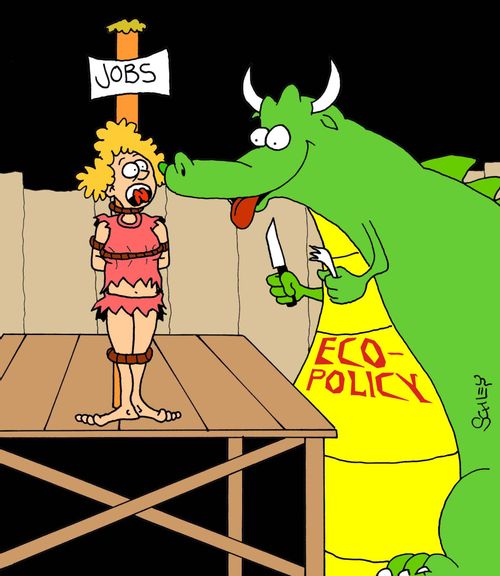 Ecopolicy.