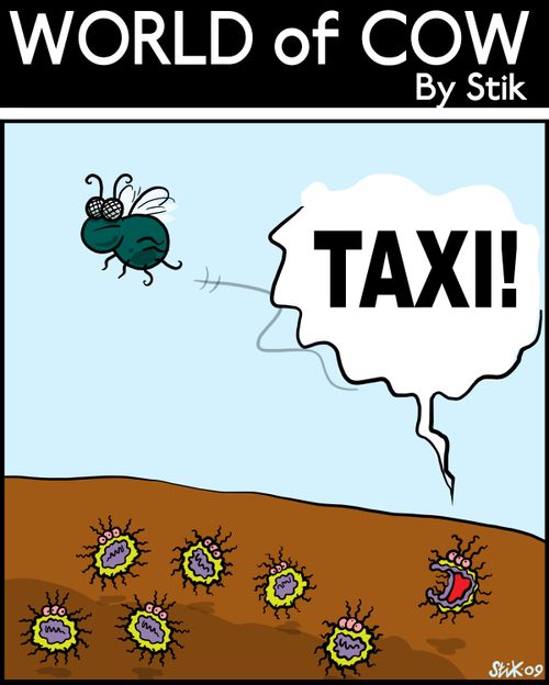 Viruses on poo shouting at a passing fly'TAXI!'