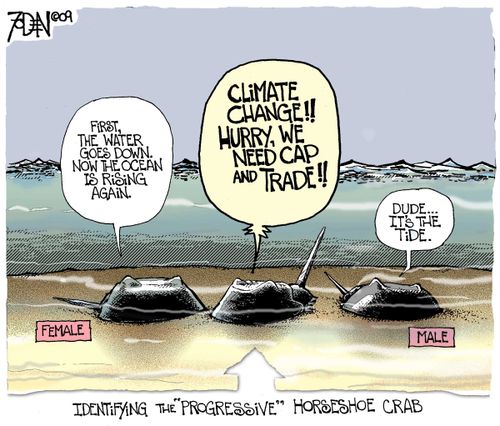 Greenies, Climate, Pinheads